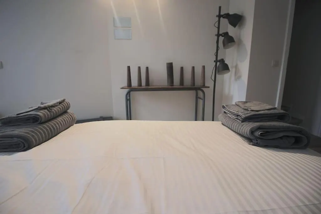 Charmant Appart 2 Ch Avec Terrasse En Centre Ville Λιέγη